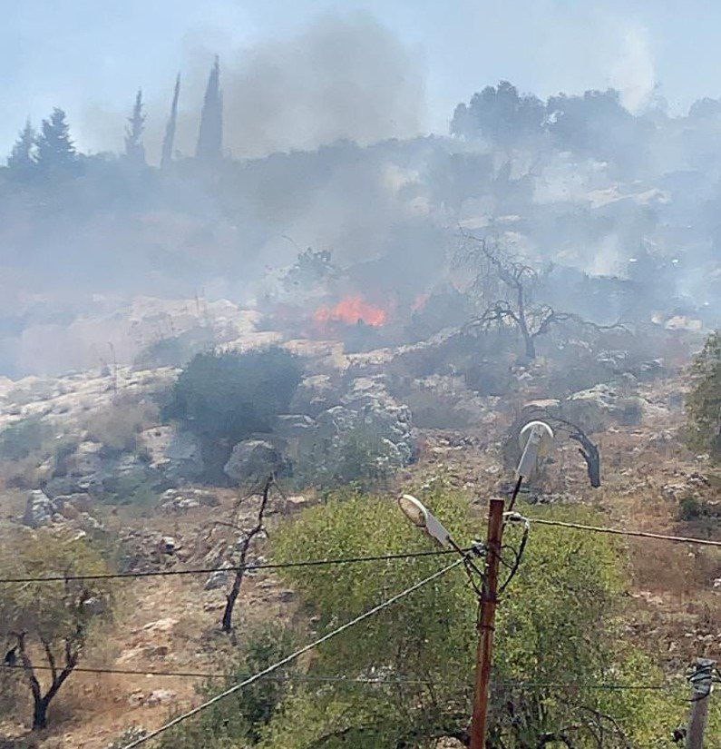 Settlers burn dozens of agricultural dunums in Nablus