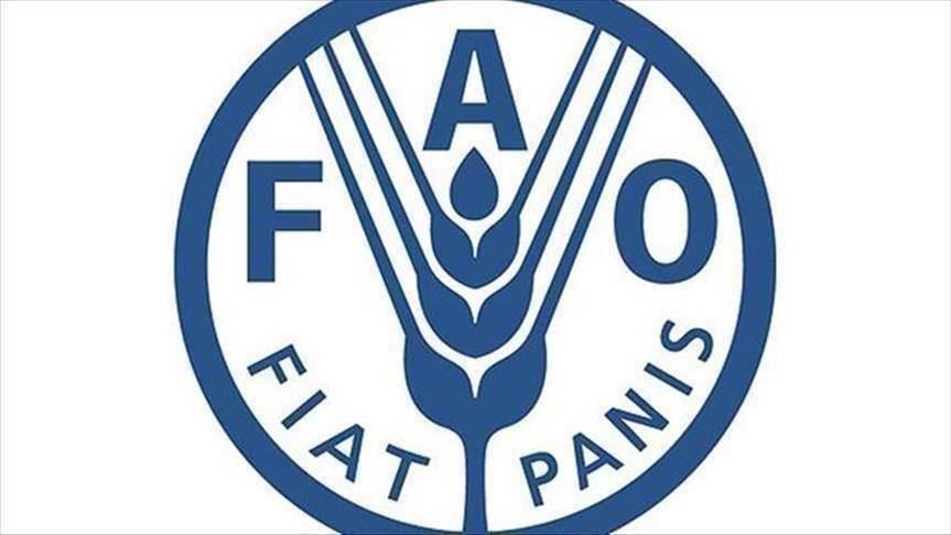 FAO: Global food prices rise to two-year high in April FAO: Global food prices rise to two-year high in April