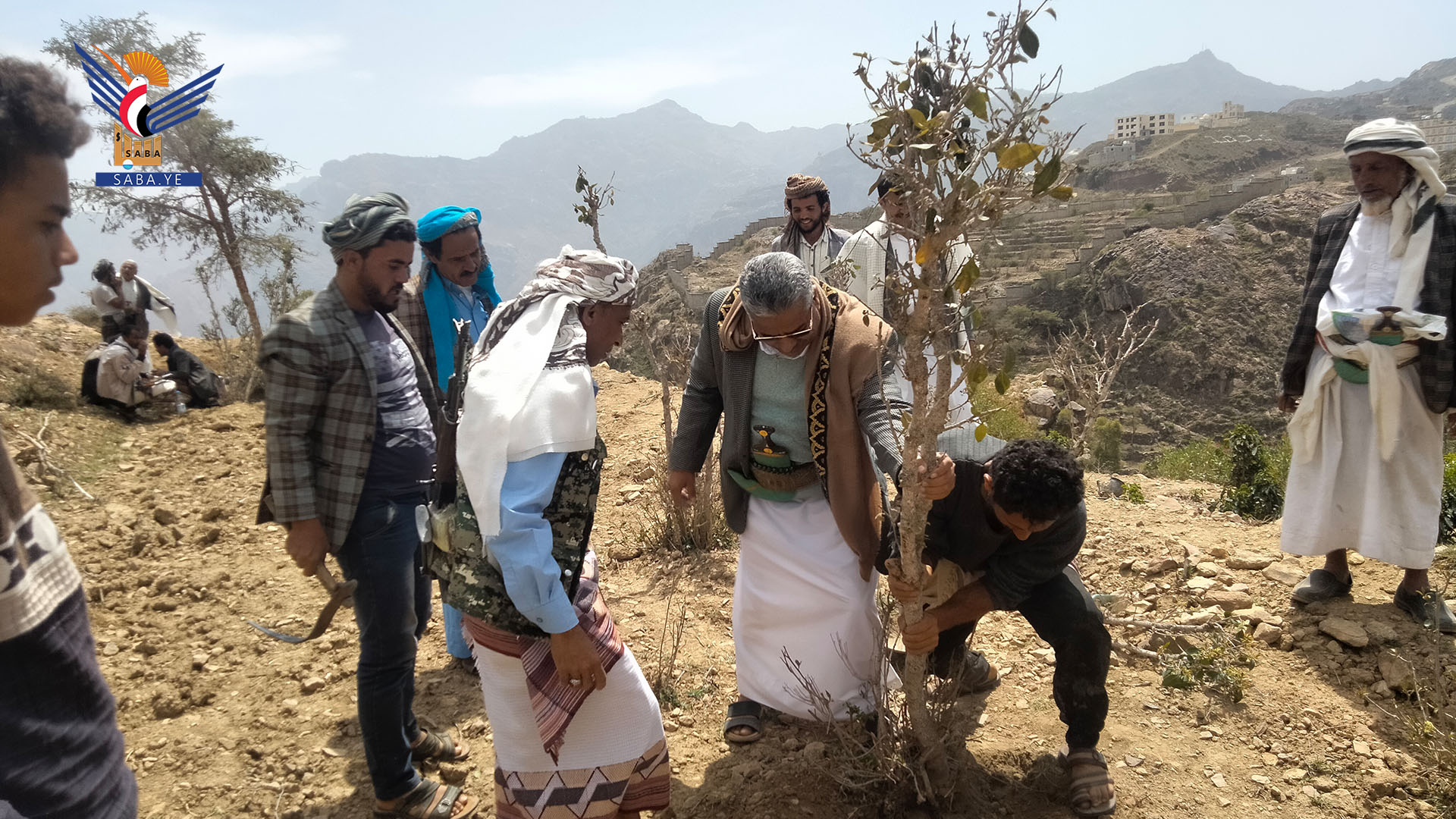 تدشين توزيع 20 ألف شتلة بُن على مزارعي محافظة ريمة تدشين توزيع 20 ألف شتلة بُن على مزارعي محافظة ريمة