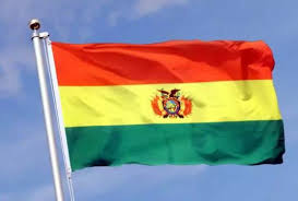 Bolivia Condemns Israeli Aggression on Gaza, Calls for Halt Bolivia Condemns Israeli Aggression on Gaza, Calls for Halt