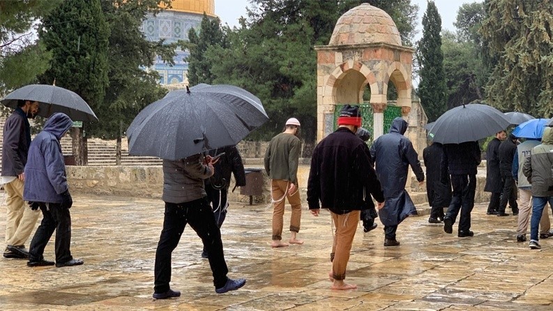 Zionist setters storms al-Aqsa courtyards