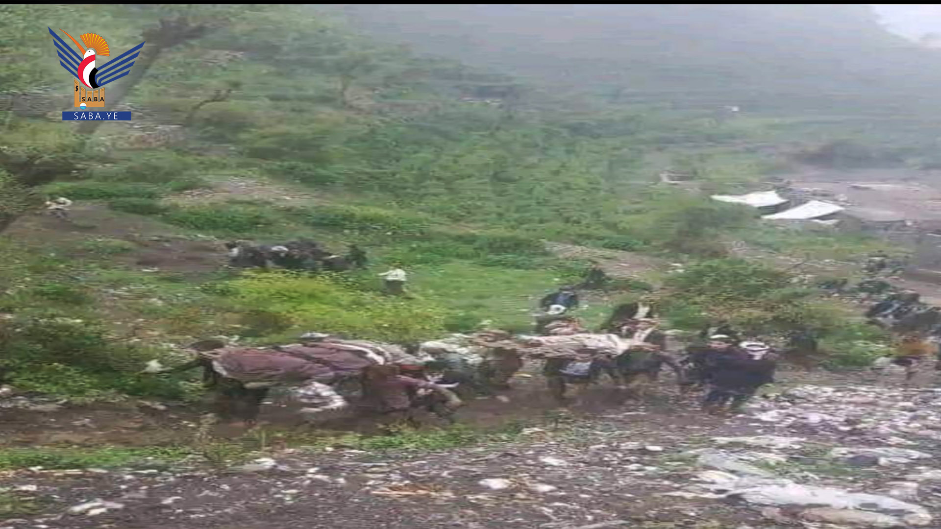 Eight dead after heavy torrential rains in Hajjah