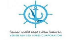 Red Sea Ports Corporation condemns detention of ships
