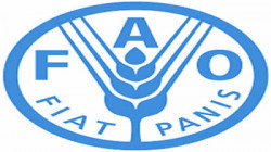 FAO veranstaltet Einführungstreffen für Projekt zur Unterstützung des Lebensunterhalts der Landwirtschaft in Sanaa