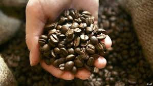 Yemeni coffee .. a strategy for development