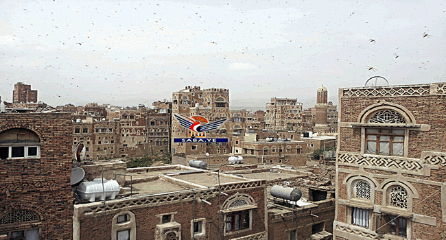Des millions de criquets pèlerins envahissent la capitale Sanaa et plusieurs gouvernorats
