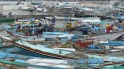 Aggressionsländer erschöpfen und zerstören weiterhin den Fischreichtum an der jemenitischen Küste
