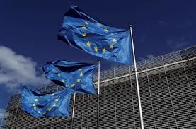 صدور بيان من الاتحاد الأوروبي والولايات المتحدة يدعو لوقف إطلاق النار بإقليم (تيغراي)