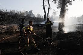 اليونان: حريق يجتاح غابة صنوبر شمال أثينا