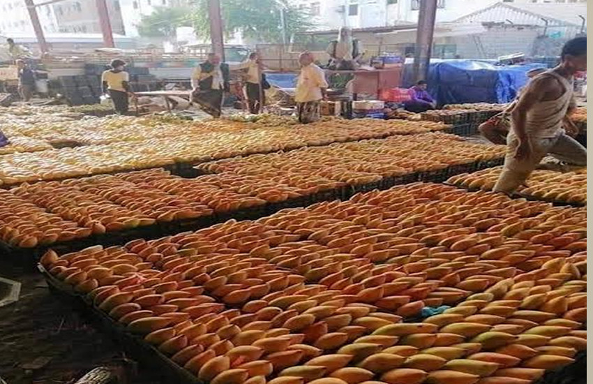 Orientation gouvernementale pour établir une culture d'achat et de vente de produits agricoles au poids : rapport