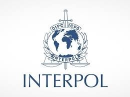 Fonctionnaires français : la nomination de l'émirati Al Raisi à la tête d'Interpol est un réel danger