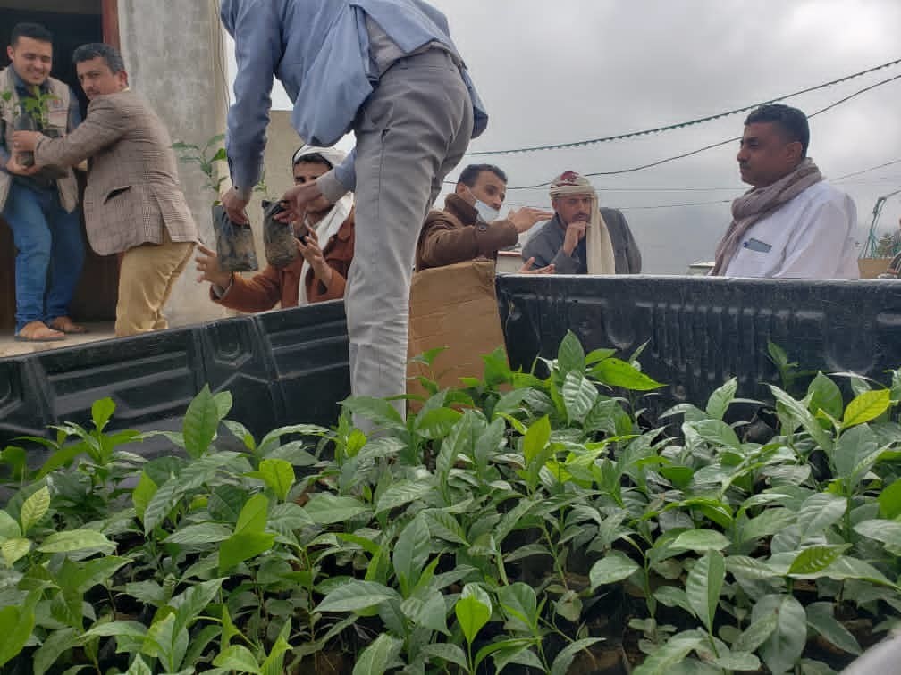 Initiative lancé à Hajjah pour planter des établissements de santé avec des plants de haricots