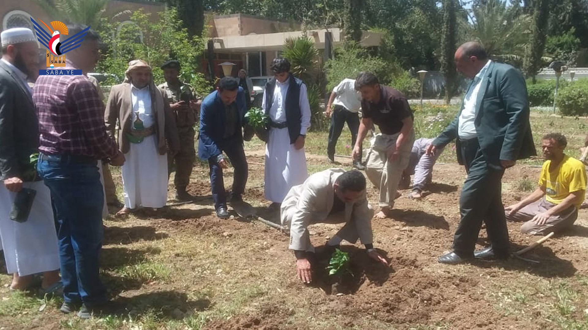 6,000 coffee seeding inaugural at Sana'a International Airport