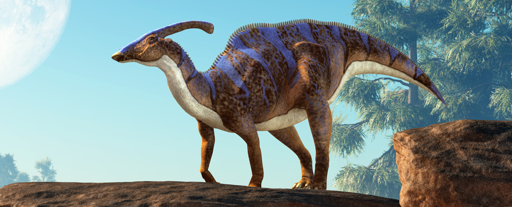 باحثون يدعون أنهم عثروا على مومياء ديناصور نادرة مع بعض الجلد المتحجر