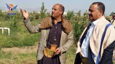 Erörterung der Möglichkeit des Anbaus von Saadi-Apfelsorten in Sana'a