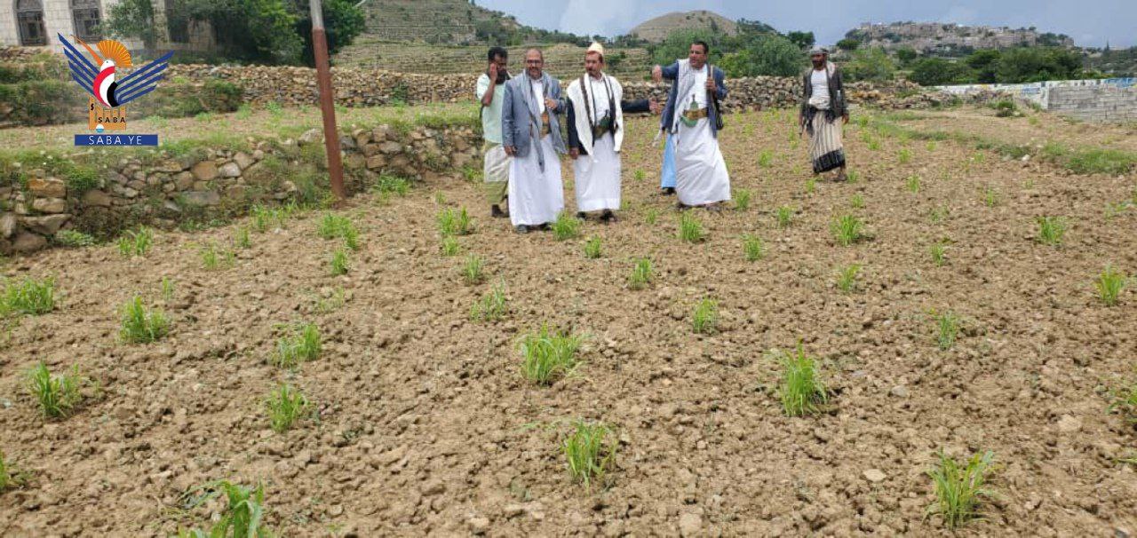 Einweihung der Arbeiten zum Schutz landwirtschaftlicher Flächen im Wadi Habel in Abs, Hadschah