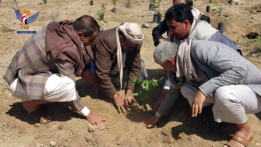 Einweihung der Aufforstungssaison für das Jahr 1445 in Dhamar