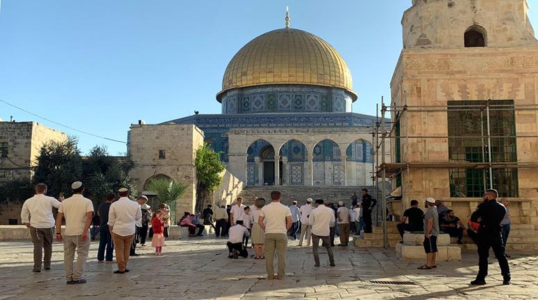 Hunderte Siedler dringen die Innenhöfe der gesegneten Al-Aqsa-Moschee ein