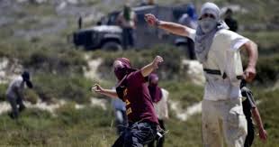 Israeli Settlers Stone Palestinian Vehicles Near Al-Lubban ash-Sharqiya Israeli Settlers Stone Palestinian Vehicles Near Al-Lubban ash-Sharqiya