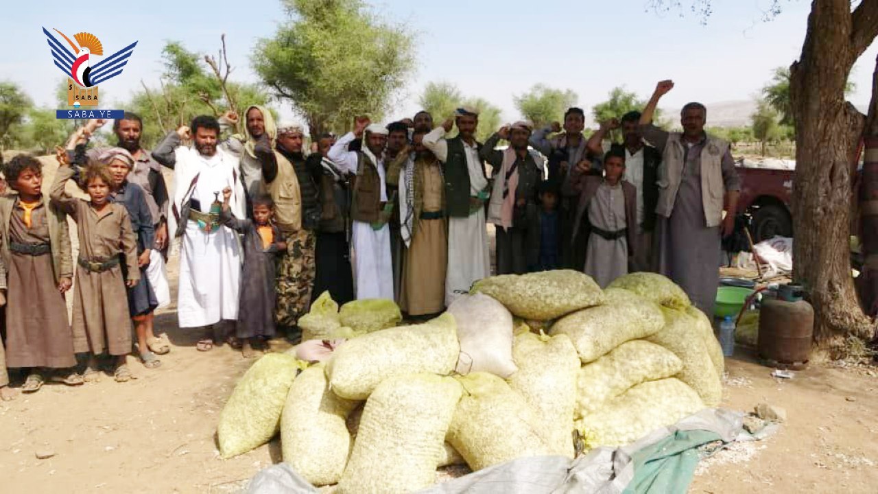 Eröffnung des vertraglichen Anbaus einer Fläche von 500 Blöcken mit Knoblauchanbau in Amran