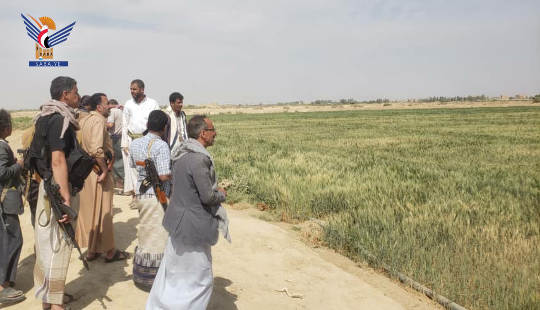تفقد مزارع البذور في مديريتي المصلوب والغيل بمحافظة الجوف