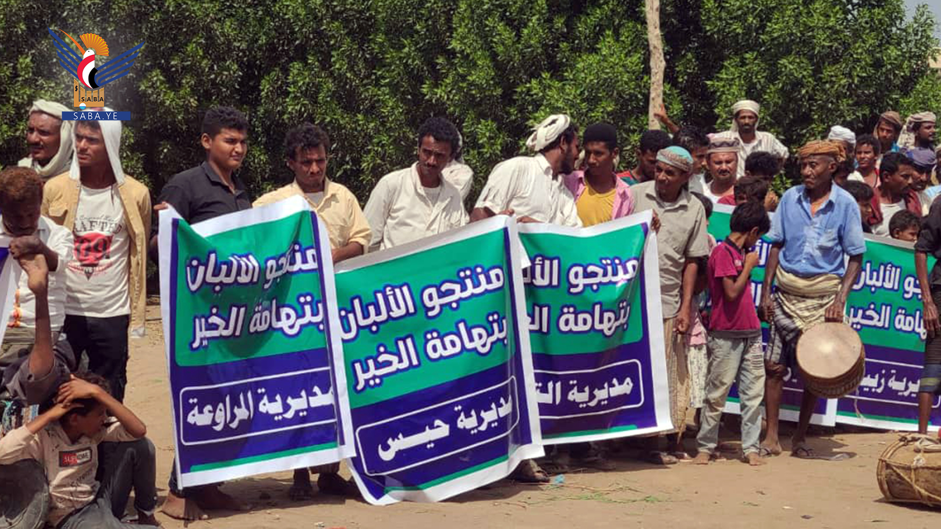 تدشين العمل بمشروع دعم منتجي الحليب بمديرية المراوعة بالحديدة تدشين العمل بمشروع دعم منتجي الحليب بمديرية المراوعة بالحديدة