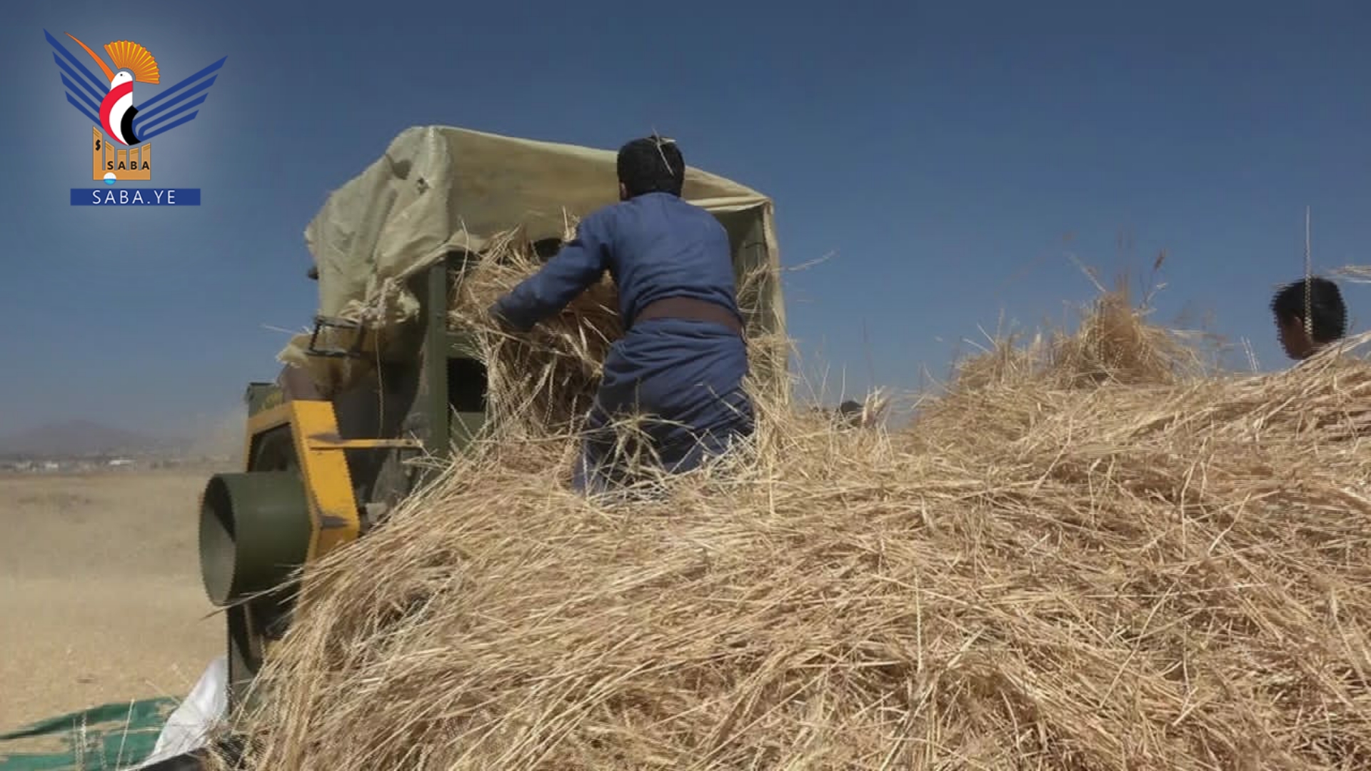 Einweihung der Weizenernte im Bezirk Bani Al-Harith, Hauptstadt 