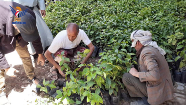 Événements promotionnels organisés à Ibb à l'occasion du deuxième anniversaire de la révolution du café et de la Journée internationale du café