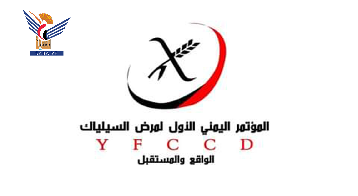 Preparations for first YFCCD in Sana'a hold‏‏