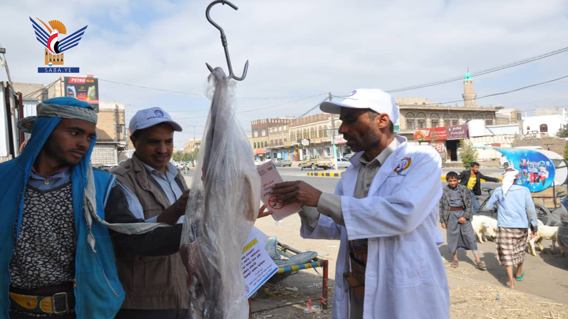 Start der zweiten Phase der Kampagne für Nutztiere in Sana'a