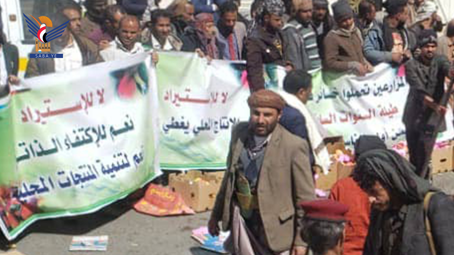 مزارعون: استيراد التفاح الخارجي يتسبب في خسائر اقتصادية كبيرة