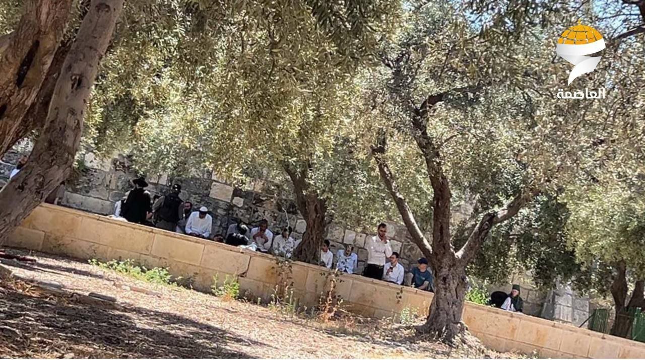 191 Israeli settlers storm al-Aqsa Mosque in provocative incursions 191 Israeli settlers storm al-Aqsa Mosque in provocative incursions