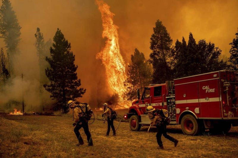 Five people killed in wildfires in Los Angeles, USA Five people killed in wildfires in Los Angeles, USA