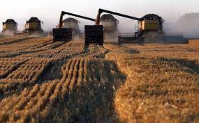 توقعات بتوصيات للحكومة الروسية بوقف مؤقت لصادرات القمح   