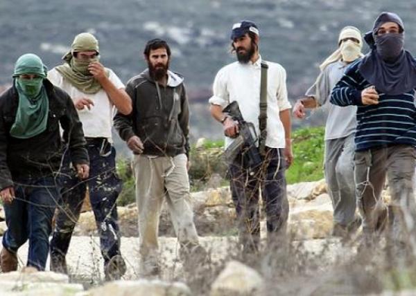 مستوطنون صهاينة يعتدون على ممتلكات الفلسطينيين في البيرة ونابلس مستوطنون صهاينة يعتدون على ممتلكات الفلسطينيين في البيرة ونابلس