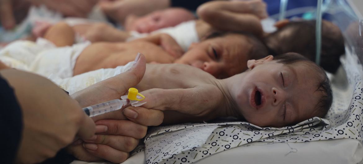 Government Media Office: Gaza Officially Enters First Stage of Famine Government Media Office: Gaza Officially Enters First Stage of Famine