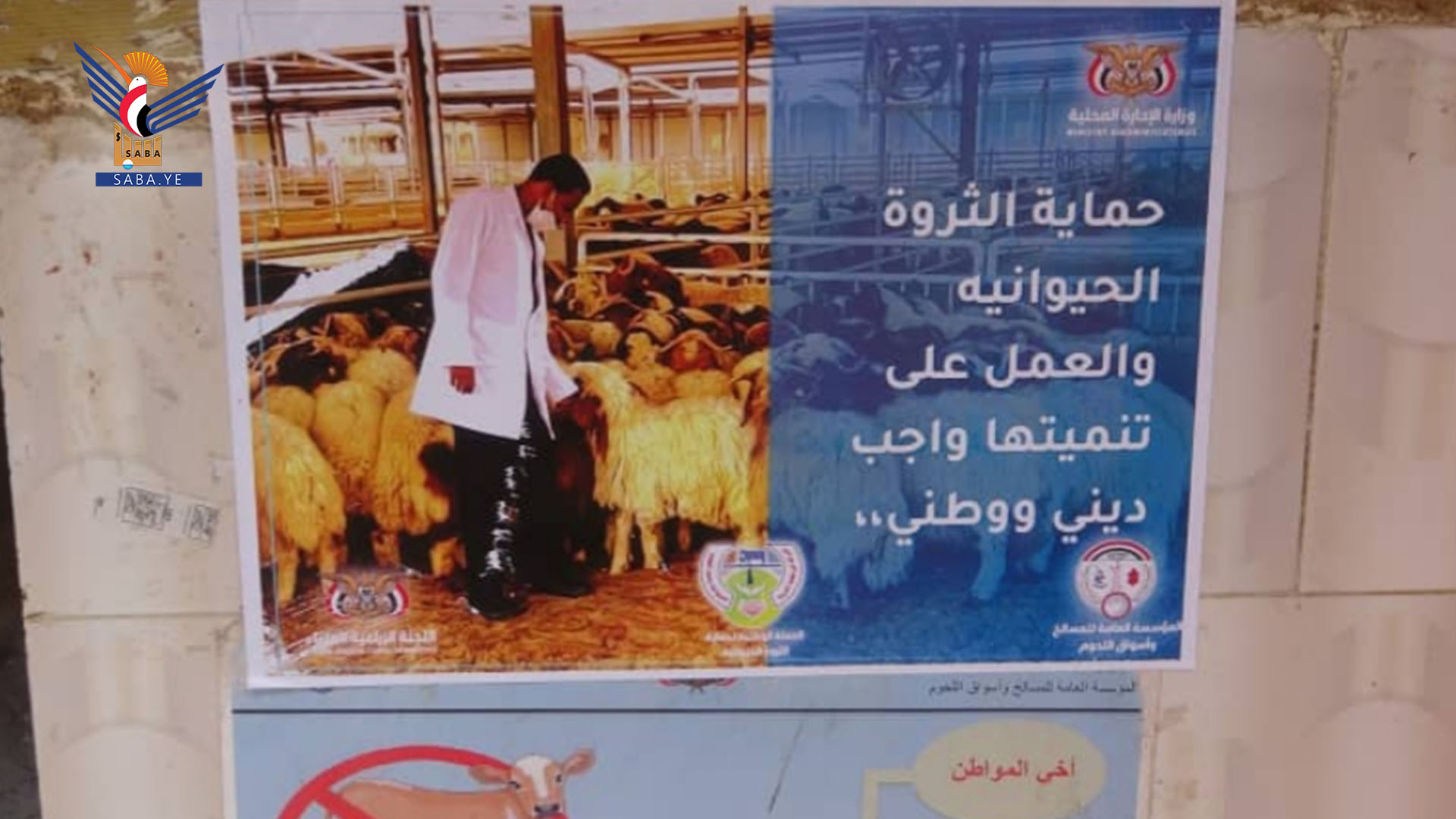 نزول ميداني بمديرية عبس ضمن الحملة الوطنية لحماية الثروة الحيوانية