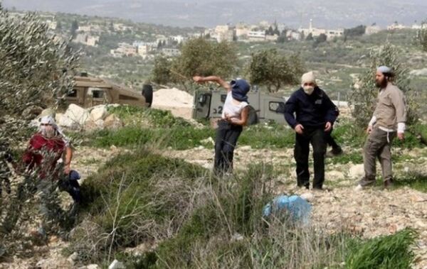 Settlers destroy land in Nablus