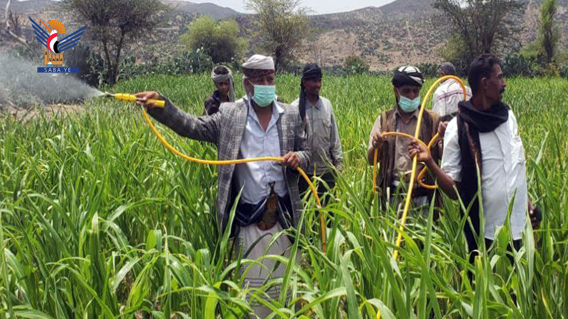 8.686 Landwirte profitierten von Pflanzenschädlingsbekämpfungskampagnen in mehreren Provinzen