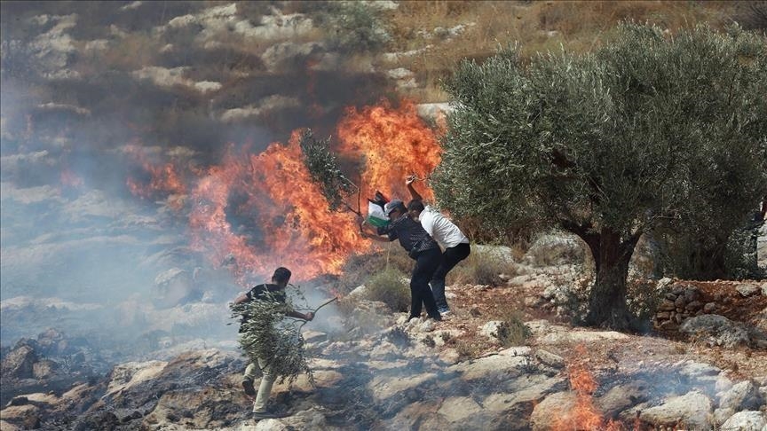 Israeli settlers set fire to agricultural land