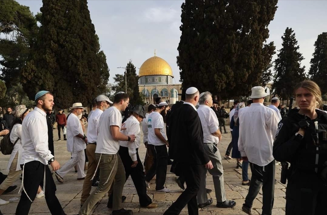 Zionistische Siedler erneuern ihren Sturm auf die Al-Aqsa-Moschee