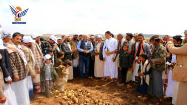Le ministre de l'Agriculture inaugure la récolte de la pomme de terre d'hiver à Dhamar Le ministre de l'Agriculture inaugure la récolte de la pomme de terre d'hiver à Dhamar
