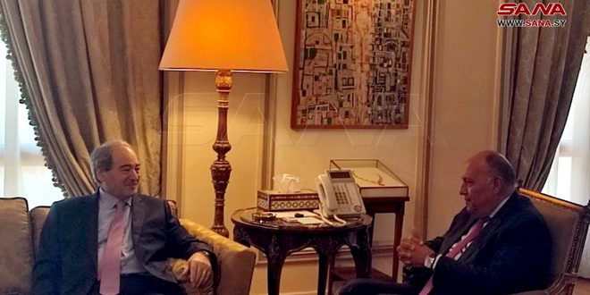 EL canciller sirio visita El Cairo y mantiene conversaciones, las primeras desde 2011