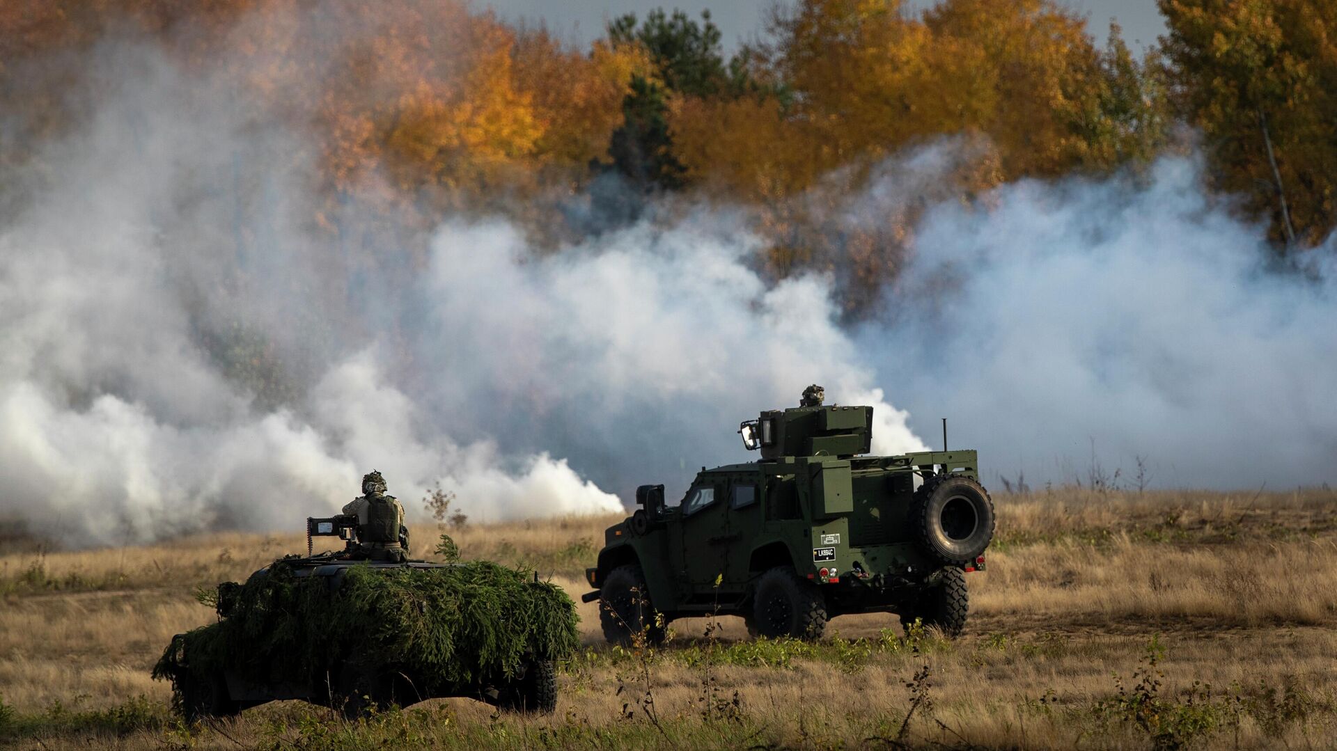 Vice-Chancellor denies cancellation of restrictions on arms aimed at Ukraine Vice-Chancellor denies cancellation of restrictions on arms aimed at Ukraine