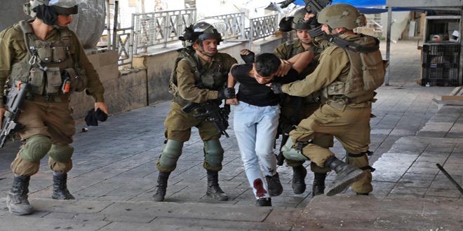 Der zionistische Feind verhaftet 20 Palästinenser aus dem Westjordanland, darunter eine Frau und Kinder