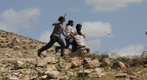 Settlers attack Khirbet al-Dhahb Village, occupation forces arrest citizen in Masafer Yatta