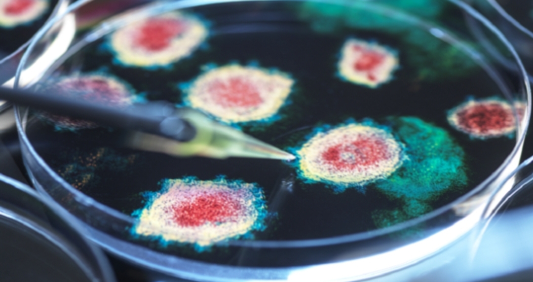 New “hard to stop” Covid strain raises concerns New “hard to stop” Covid strain raises concerns