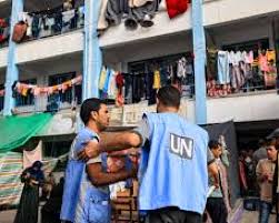 Lazzarini says 182 UNRWA employees have been killed since onslaught on Gaza