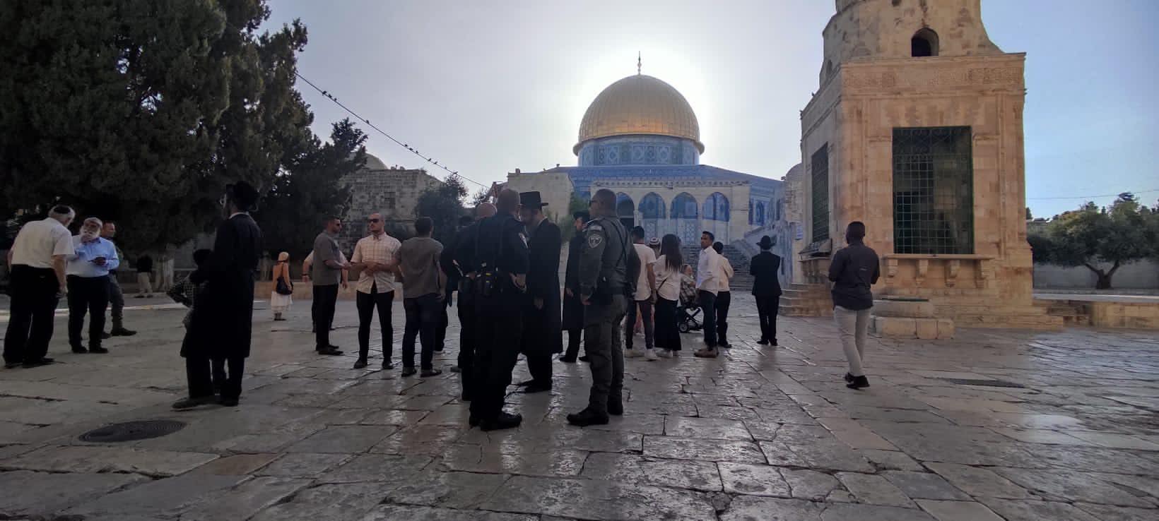 Settlers storm Aqsa Mosque yards Settlers storm Aqsa Mosque yards