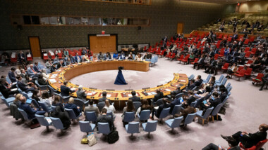 UNSC holds open session on food security in Gaza UNSC holds open session on food security in Gaza